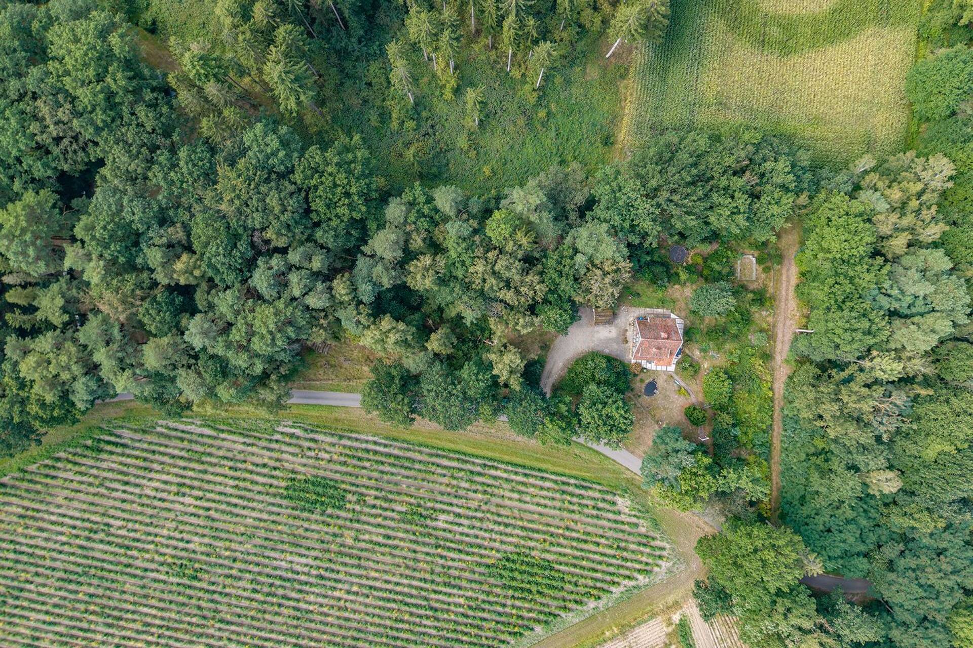 Einfamilienhaus in 21423 Winsen (Luhe) mit 85 m² kaufen