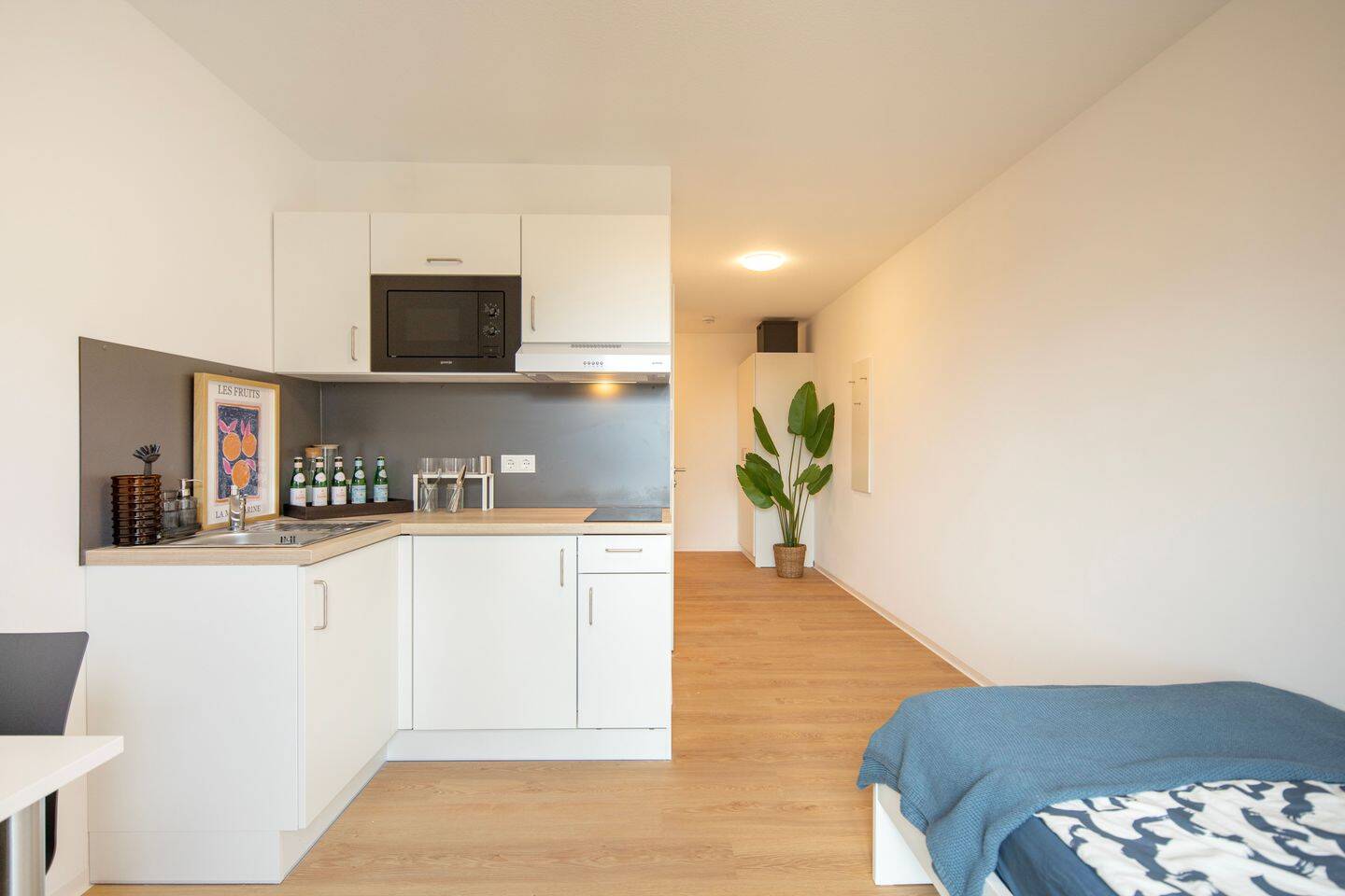 Möbliertes 1-Zimmer Apartment in zentraler Lage | WE 2.04 – Nürnberg – Vorschaubild 3