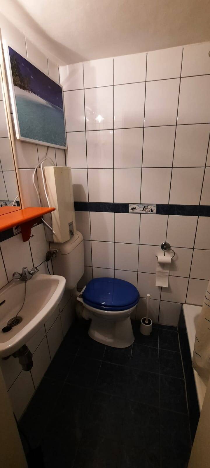 Studenten-Apartment im Souterrain mit Single-Küche ab sofort – Bonn – Vorschaubild 3