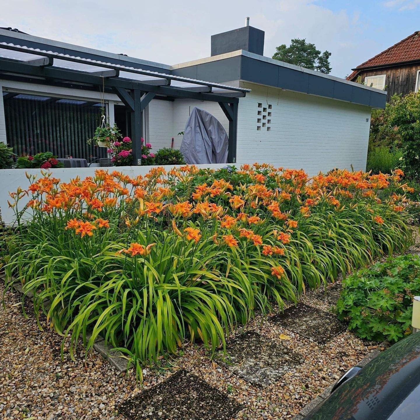 Einziehen & Aufatmen: Moderner Bungalow-Traum mit Solarkraft & Gartenidyll – Zernien – Bild 1 von 9