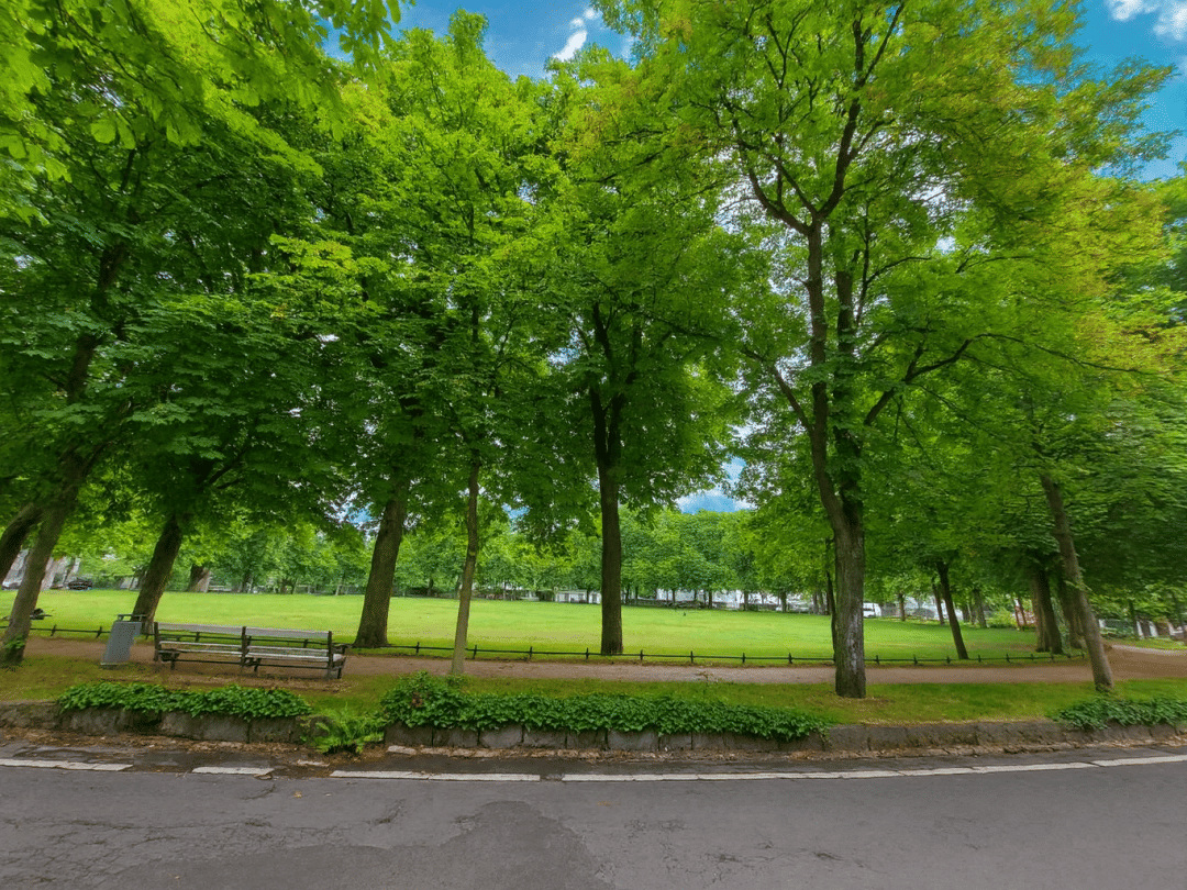 Urbanes Juwel am Branitzer Platz - Exklusives Wohnen in Berlins noblem Westend – Berlin – Vorschaubild 5