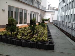 Modernes Appartment in zentraler Lage mit Terrasse – 33602 Bielefeld – Vorschaubild 6