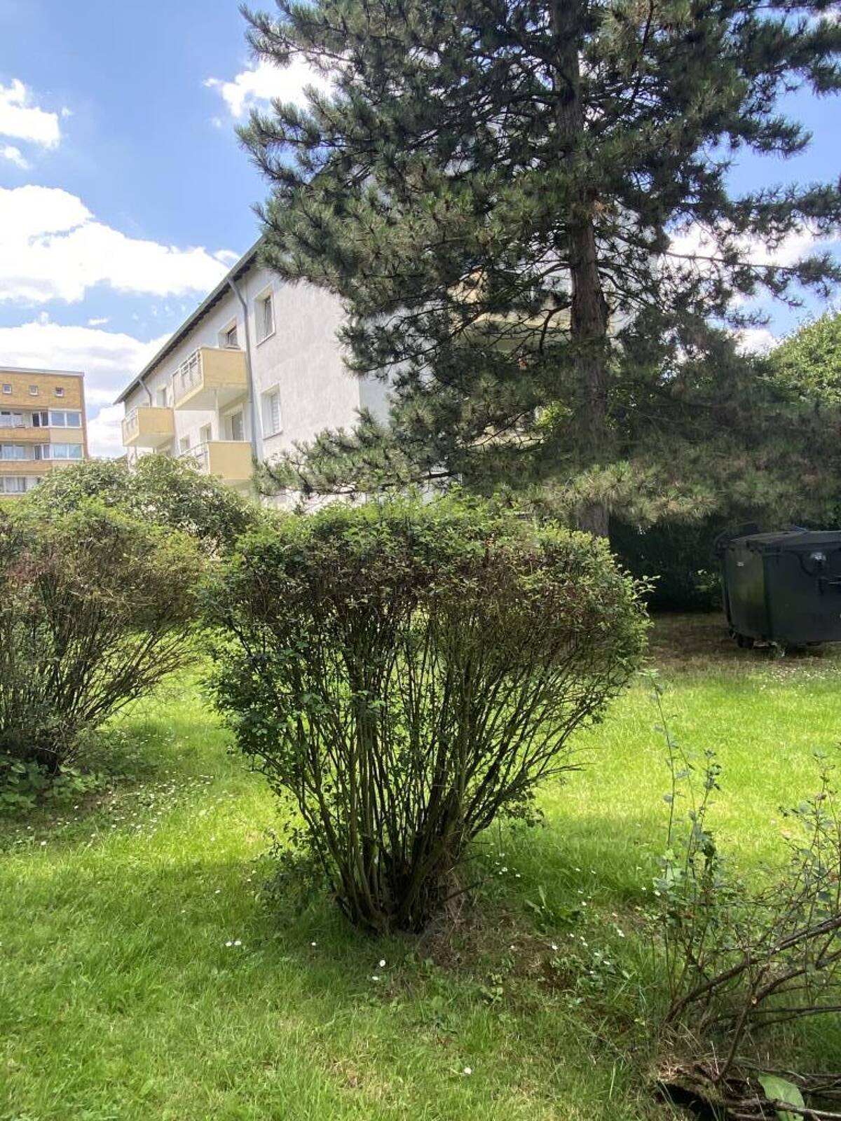 ** Sommeraktion** - Gut aufgeteilte Dachgeschosswohnung mit Balkon in Essen Dellwig – 45357 Essen – Bild 1 von 9