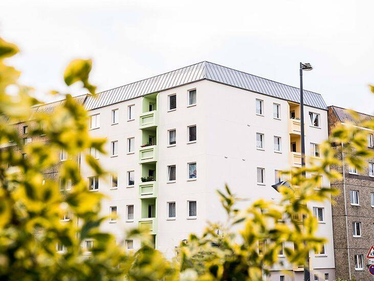 Frisch sanierte Singlewohnung ab August