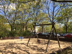 Barrierearmes Wohnen mit XXL Terrasse – 1307 Dresden – Vorschaubild 5