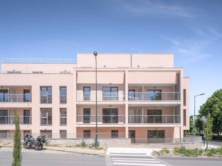 Program thumbnail