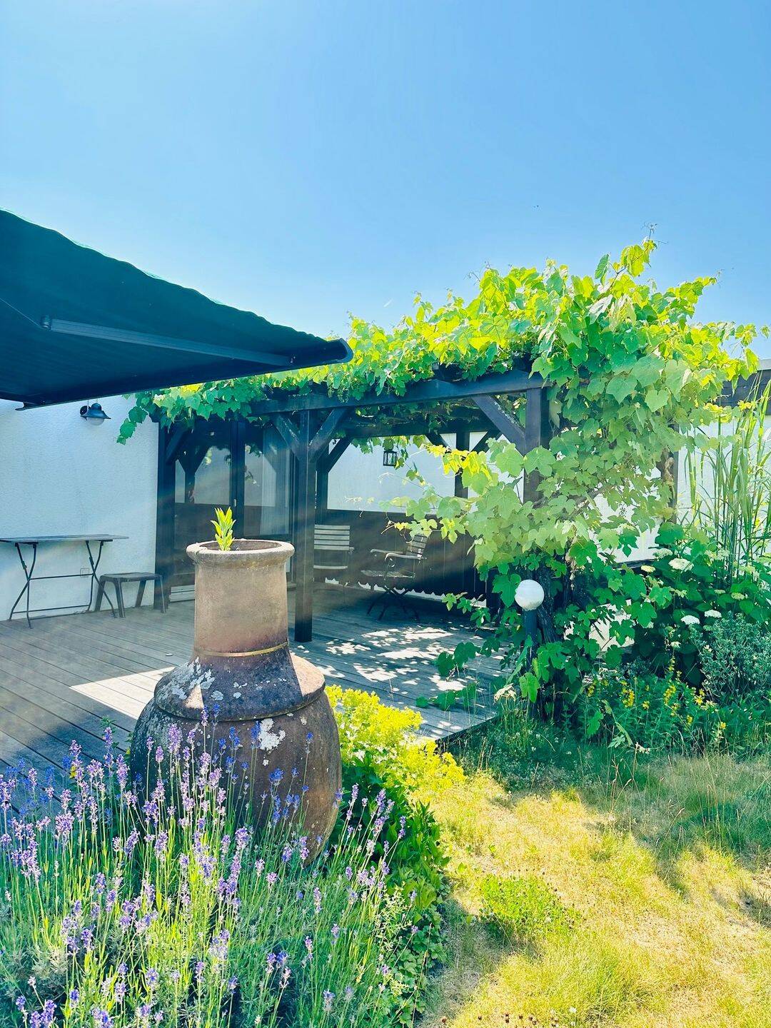 TRIER !!! Trimmelter Berg !!! Winkelbungalow !!! – Trier – Vorschaubild 3