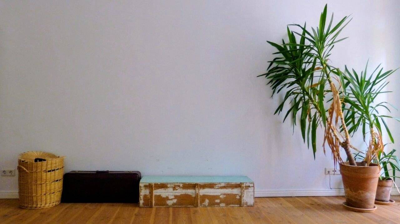 Hochwertig sanierte Altbauwohnung mit zwei Balkonen und viel Platz – Berlin – Vorschaubild 3