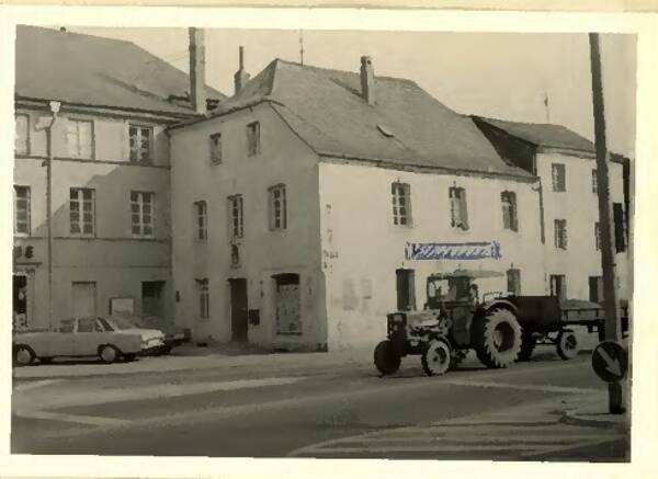 Haus in 54290 Trier mit 527 m² kaufen