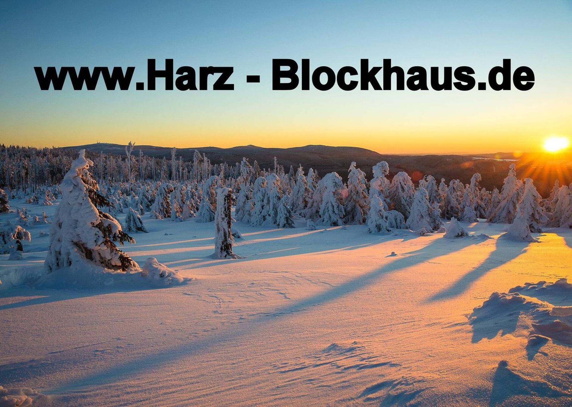 Haus in 38644 Goslar OT Hahnenklee kaufen