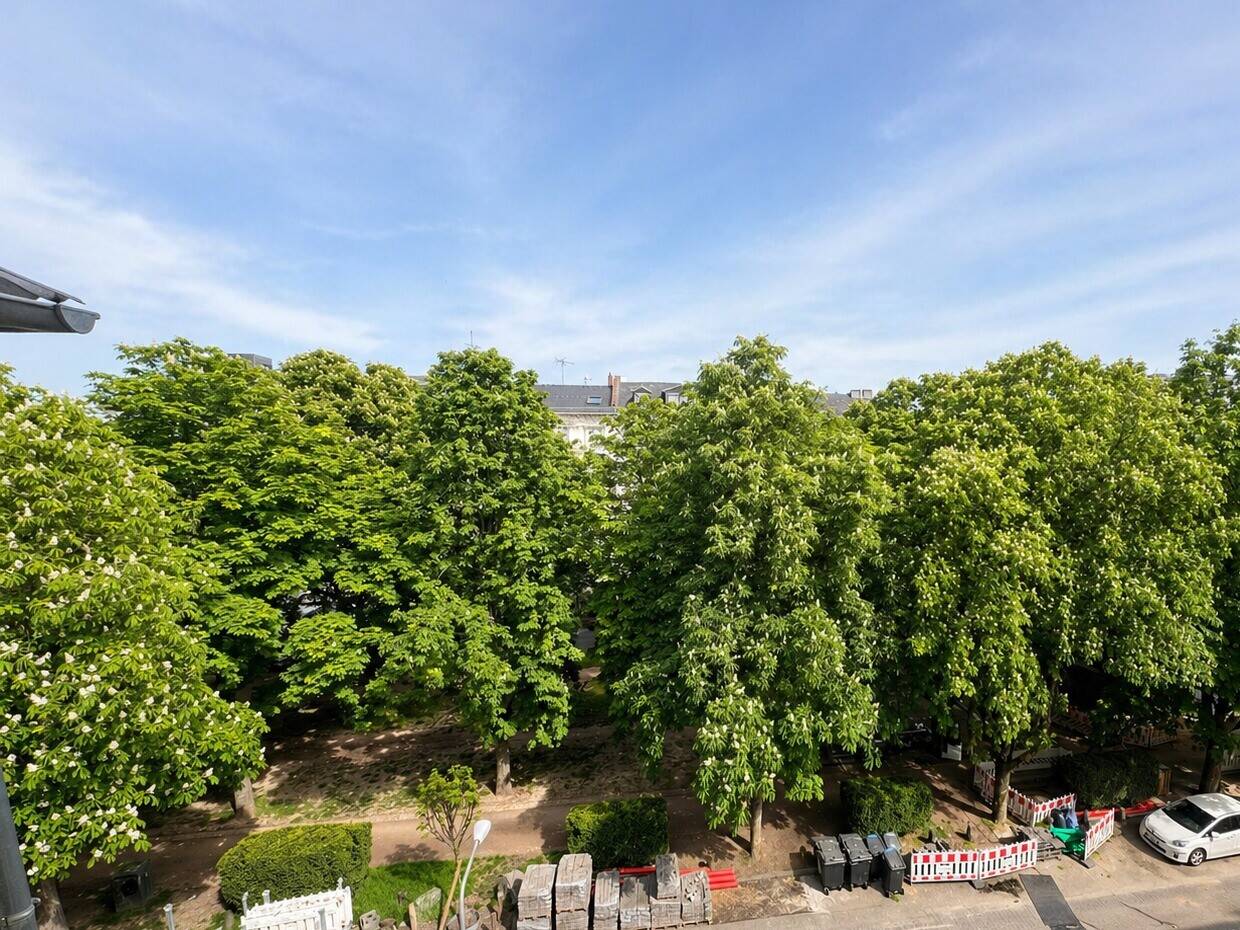 Kapitalanlage in der wohl schönsten Allee Wiesbadens - die Adolfsallee – Wiesbaden – Vorschaubild 8