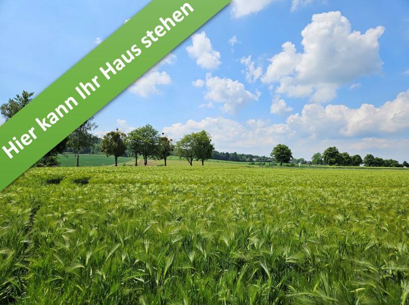 Familienleben auf einer Ebene im kommenden Baugeb. in Bennigsen. – Springe – Vorschaubild 2