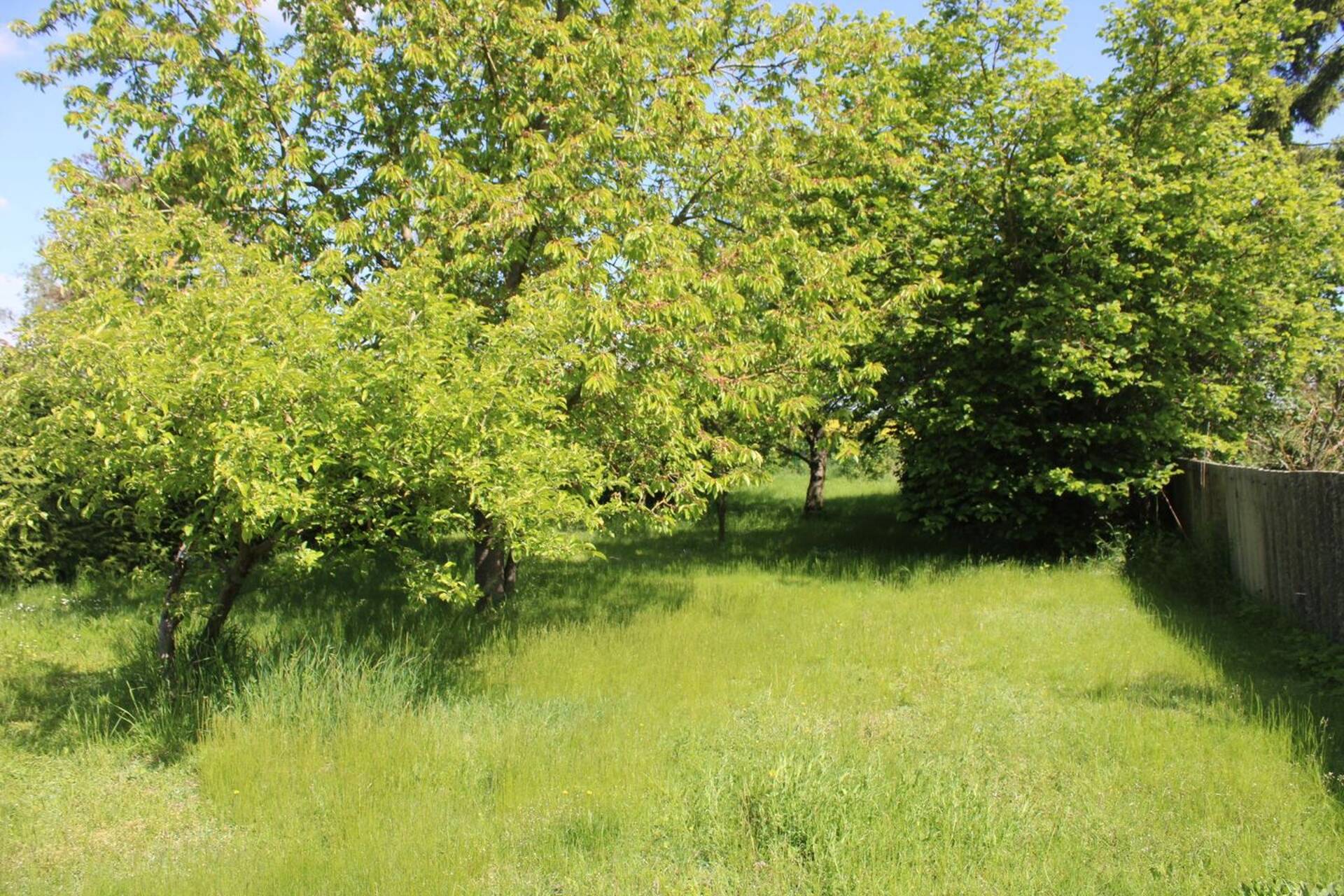 Haus in 04860 Torgau mit 190 m² kaufen