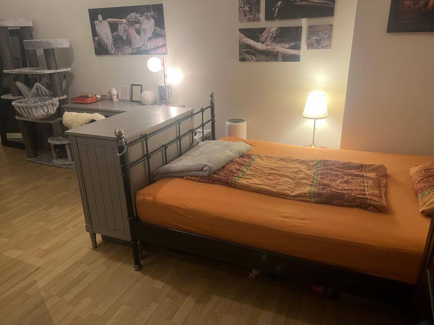 große 1- Zimmerwohnung in 12489 Berlin – Berlin – Vorschaubild 3