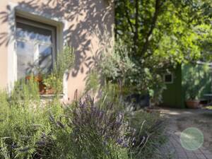 ** Fürth at it`s BEST * historisches Ambiente * ca. 106 qm * 5 Zi * Kapitalanlage in bester LAGE ** – 90762 Fürth – Vorschaubild 6