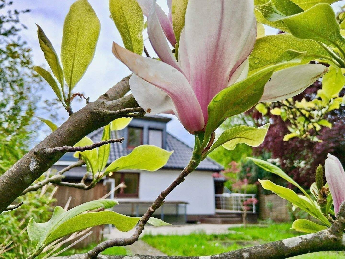 NIENDORF - top Lage - 30 Zone - großzügiges Familiendomizil - mit 8 Zimmern - neue Gas/Hybridheizung - Fußbodenheizung - bezugsfertig renoviert - – Hamburg – Vorschaubild 5