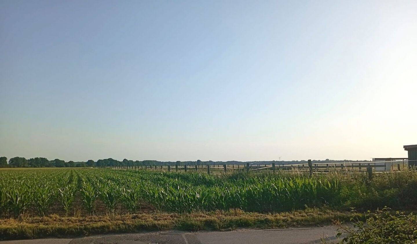 Traumhaft ruhig, angenehm zentral: Neuwertiges Zuhause mit Garten und Feldaussicht in MG-Rheindahlen – Mönchengladbach – Vorschaubild 5