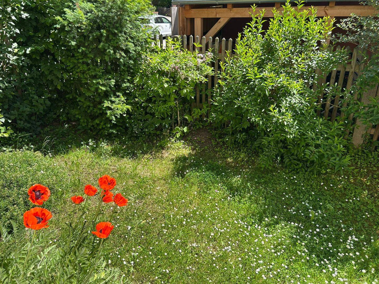 Herrliche 3 Zimmer Altbauwohnung im Westviertel mit sonnigem Garten – Jena – Vorschaubild 4