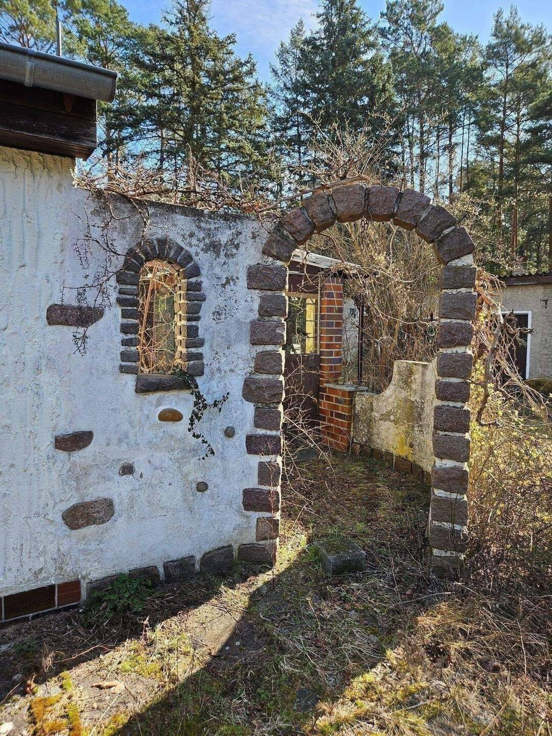 Warum nicht? Los geht`s! – Borkheide – Vorschaubild 8