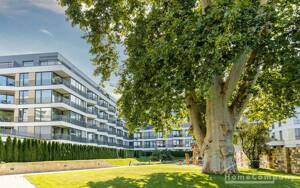 18116107 HomeCompany Dresden Möbliert/Furnished Exclusives 1-Zimmer Apartment in Dresden-Altstadt Nähe Frauenkirche max. 2 Personen – 1067 Dresden – Vorschaubild 8