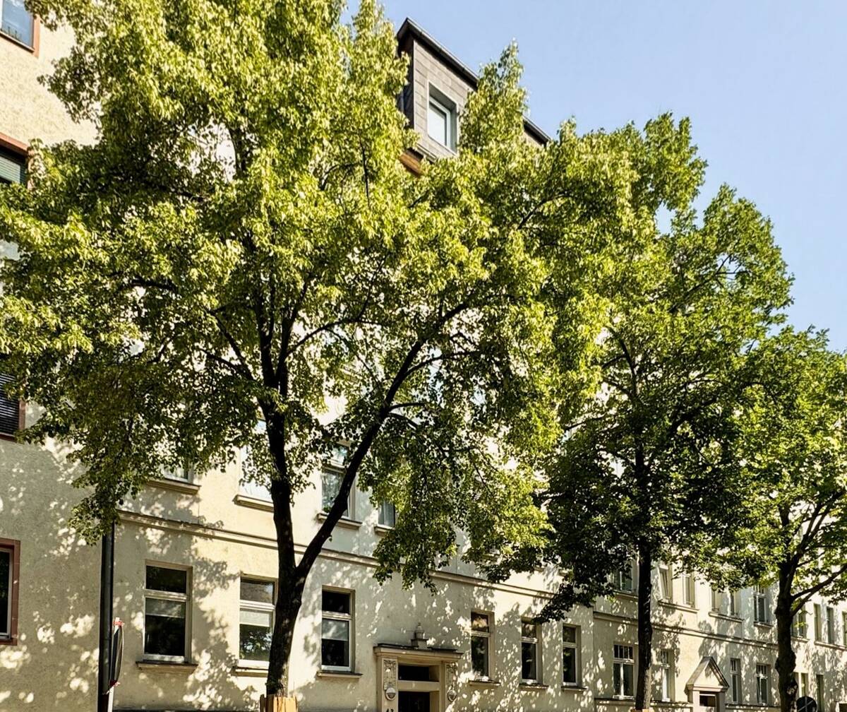 Immobilienpaket in Leipzig | 2 leere Wohnungen + 1 Gewerbeeinheit zum Kauf – 4157 Leipzig – Bild 1 von 9