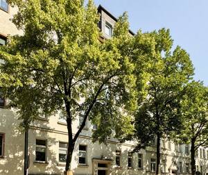 Immobilienpaket in Leipzig | 2 leere Wohnungen + 1 Gewerbeeinheit zum Kauf