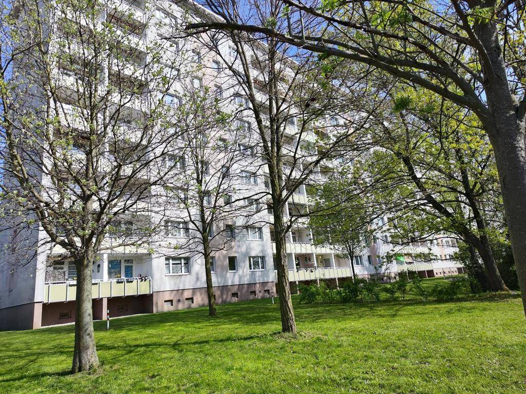 Hoch oben genießt Ihr den besten Blick