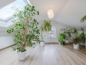 Attraktive 4-Zimmer-Dachgeschosswohnung mit Weitblick – 88069 Tettnang – Vorschaubild 8