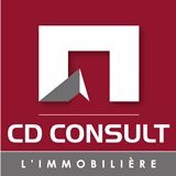 CD CONSULT logo