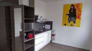 hochwertig eingerichtete Apartments in ruhiger Lage mit PKW Stellplatz - komplett möbliert und ausgestattet – 99091 Erfurt – Vorschaubild 8