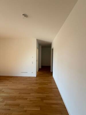 Moderne 2-Raum-Wohnung mit Einbauküche und Balkon – 1067 Dresden – Vorschaubild 4