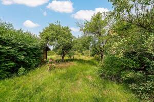 Großzügiges Grundstück mit Einfamilienhaus in Berlin-Mahlsdorf – 12623 Berlin – Vorschaubild 9