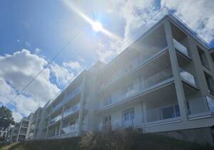 Wohnen am Moselufer -Penthouse Wohnung-