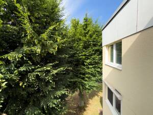 Einziehen ohne Renovieren: 4 Zimmer, Balkon und Garage in Bergisch-Neukirchen – 51381 Leverkusen – Vorschaubild 4
