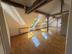 Loftartiges Wohnen über den Dächern - 2,5 Zimmer mit Balkonfenster am Kurpark Bad Cannstatt