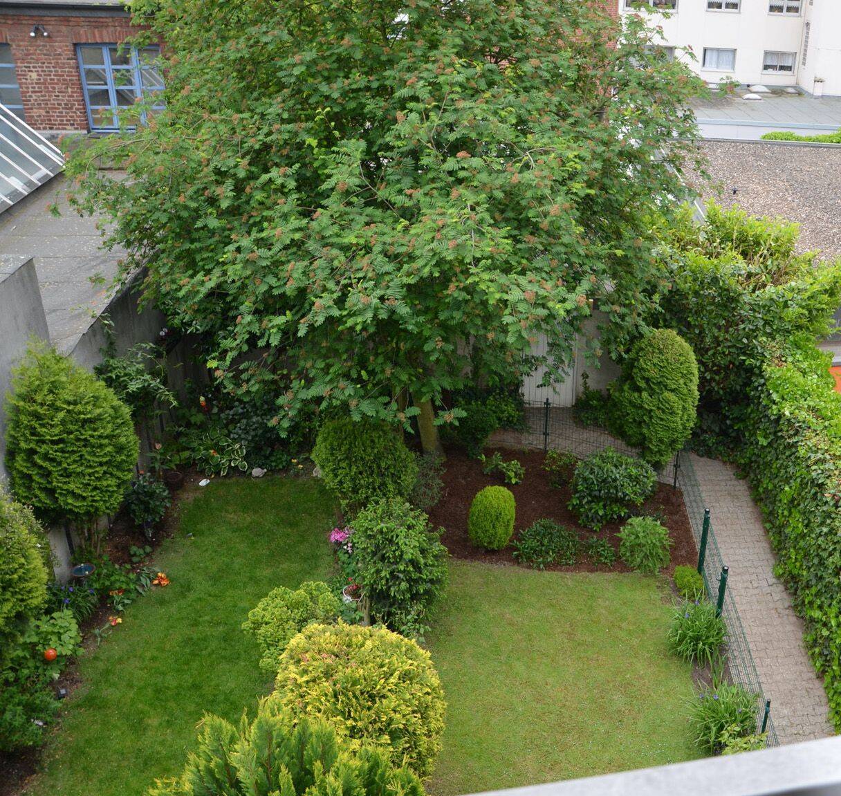 Helle lichtdurchflutete 2-Raum Wohnung in Mönchengladbach Rheydtydt – Mönchengladbach – Vorschaubild 8