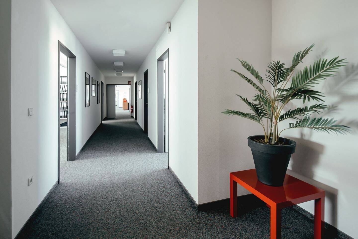 - Ansprechende und moderne Büroflächen nahe Universität Kassel zu vermieten ++++