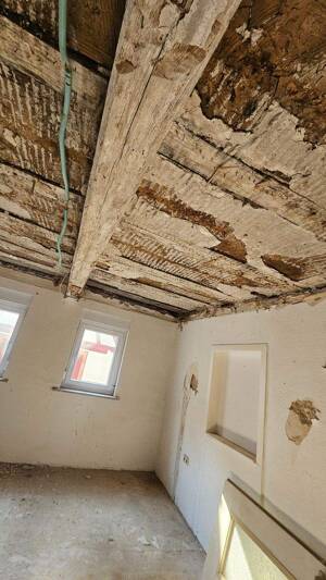 Ehemaliges Bauernhaus mit viel Potential – 76835 Gleisweiler – Vorschaubild 7