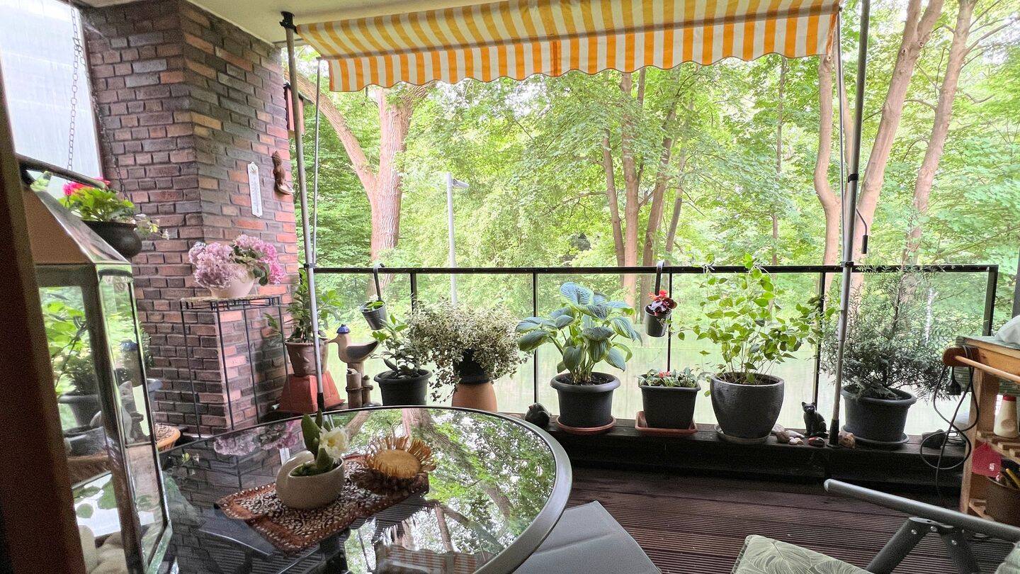 Stadtparknahe und moderne 3-Zi. mit Loggia und zusätzlich ca. 35 m² Terrasse – Hamburg – Vorschaubild 2