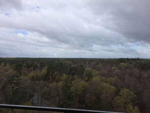 Helle ETW über den Dächern der Waldstadt – 76139 Karlsruhe – Vorschaubild 7