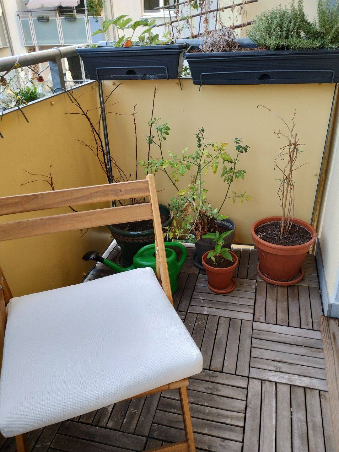 Schöne 4-Zimmer-Wohnung mit Balkon im Nordend – Frankfurt am Main – Vorschaubild 3