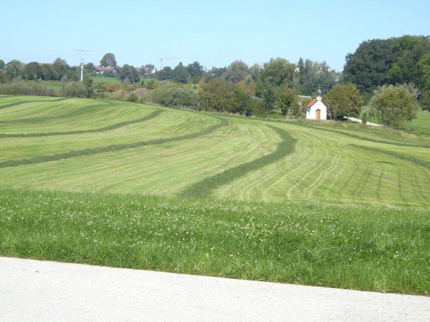 Sehr ruhige traumh. gr. 4-Zi.-Terrassen-Whg. m. Aufzug, Grafing – Grafing – Vorschaubild 7
