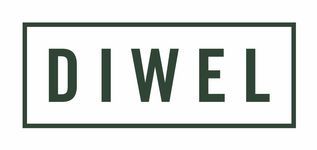 DIWEL. logo