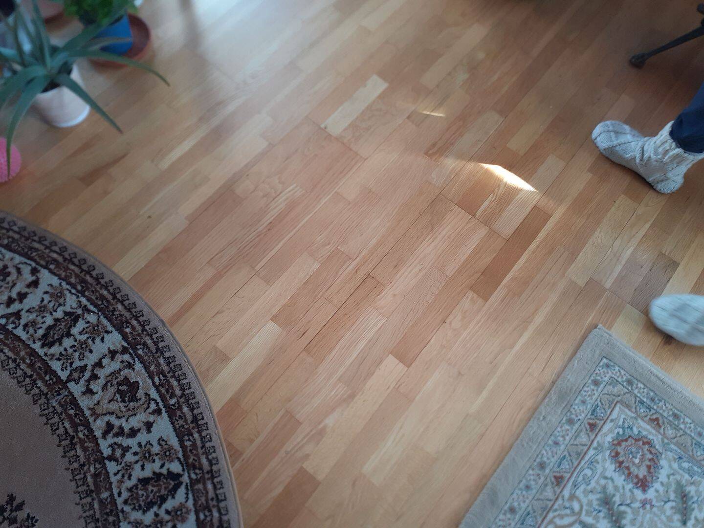 sonnige Eigentumswohnung in Jena, 3 Zimmer – Jena – Vorschaubild 4