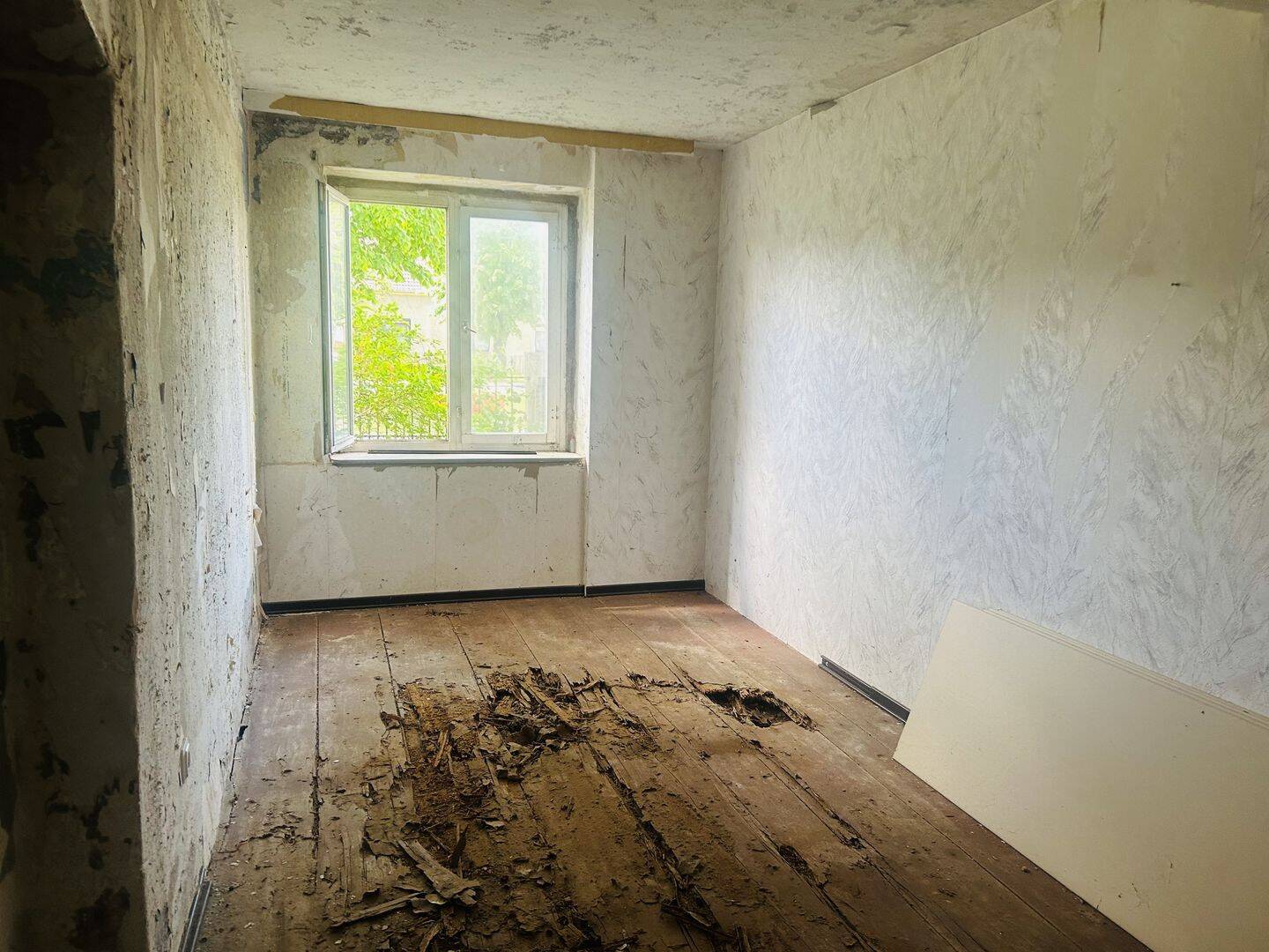 Charmanter Bauernhof mit Renovierungspotenzial - gestalten Sie Ihr Traumhaus! – Bad Liebenwerda – Vorschaubild 4
