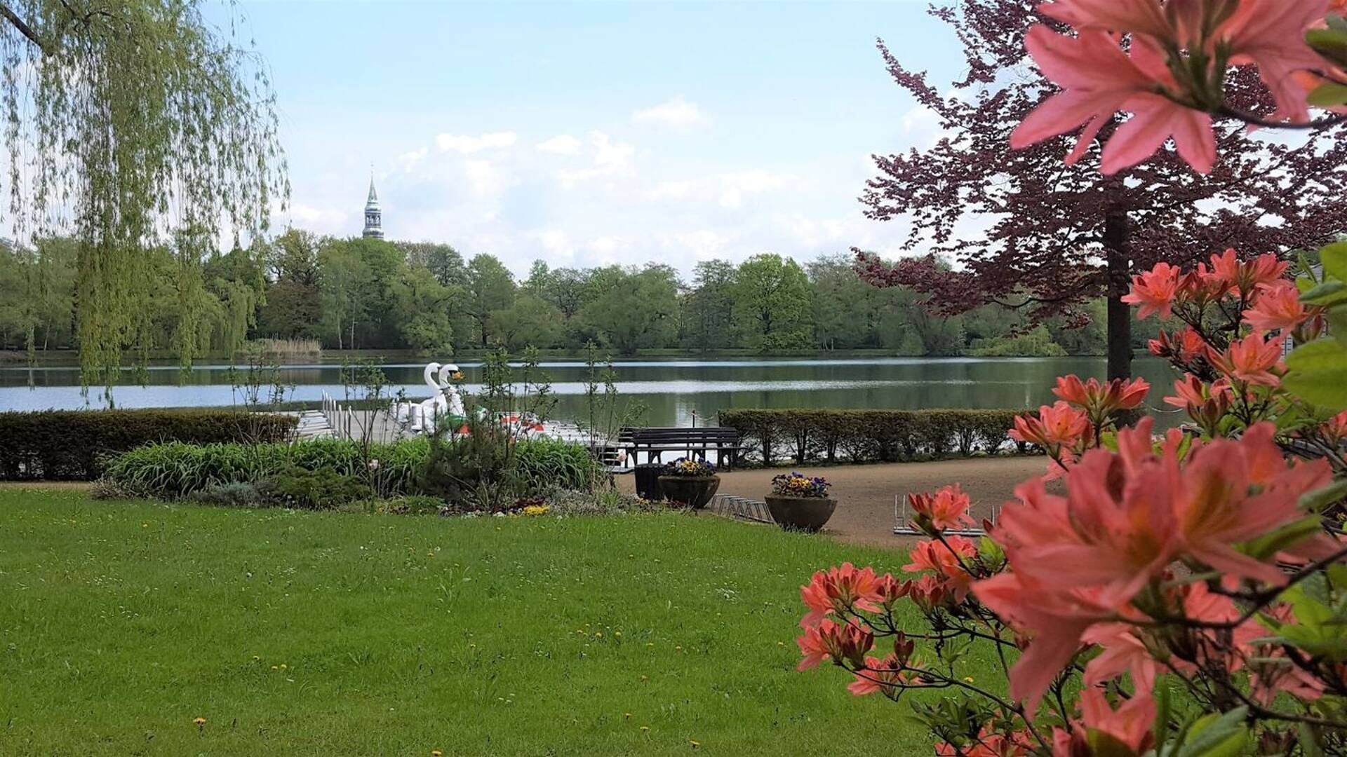 Etagenwohnung in 08060 Zwickau mit 40,25 m² kaufen