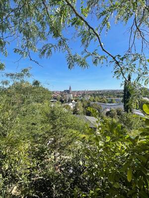 + 4 ZKB, WC, Garten, Terrasse, KfZ-Stellplatz + über den Dächern von Regensburg mit Blick auf den Dom +