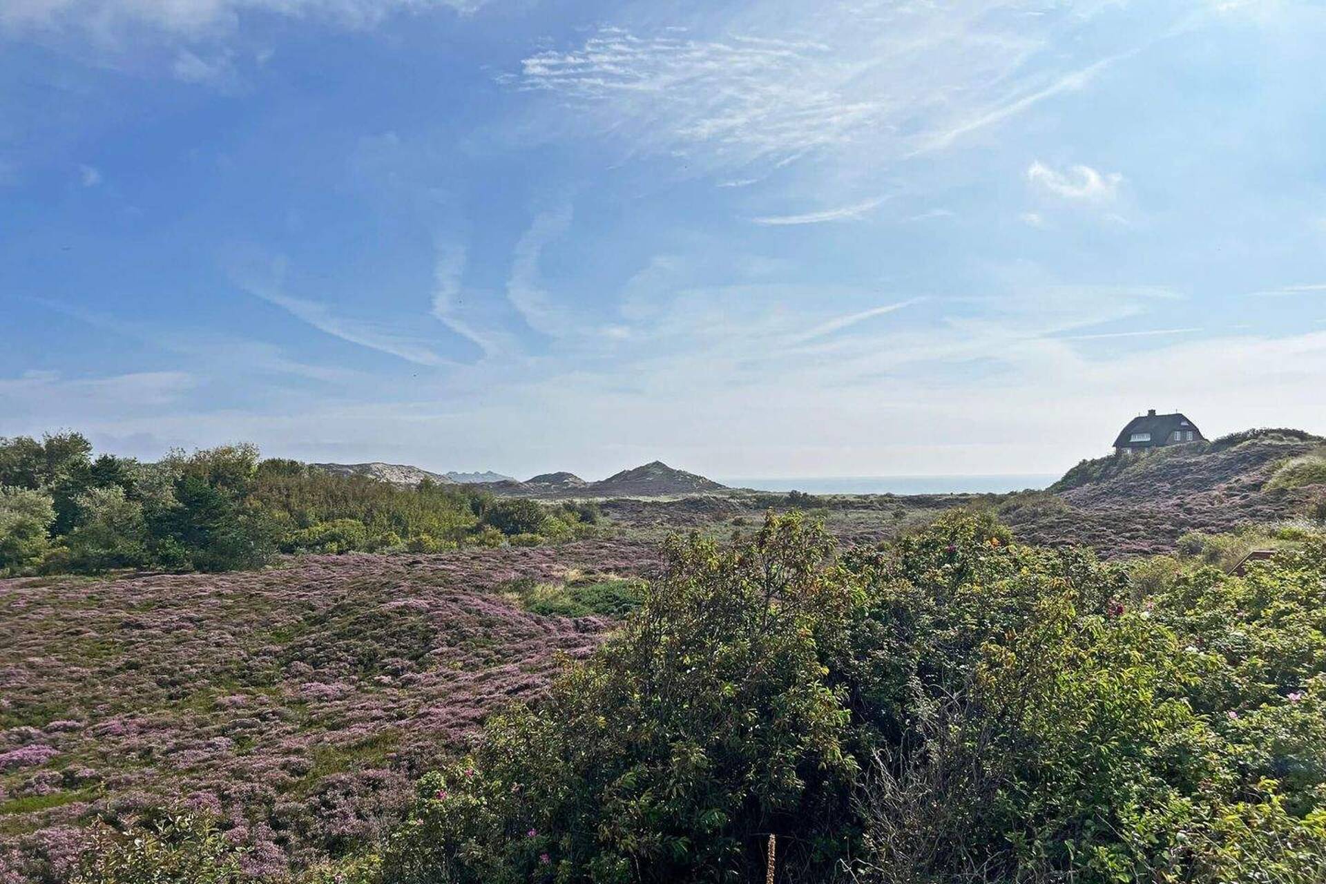 Einfamilienhaus in 25992 List auf Sylt mit 160 m² kaufen