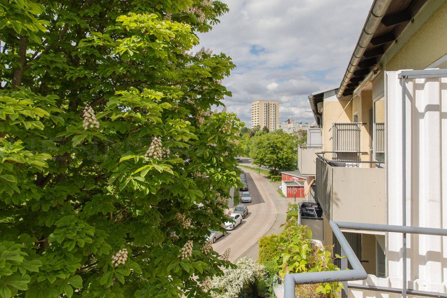 Toller Schnitt und wunderbar hell! 3 Zimmer Wohnung in Parknähe zu verkaufen!