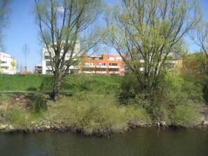 Exklusive 2-Zimmer-Dachterrassenwohnung mit Blick zum Dom, zur Regenmündung, zum Kanal und Donau – 93059 Regensburg – Vorschaubild 7